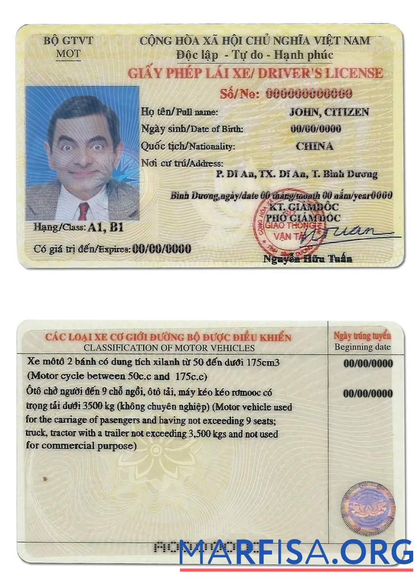 Printable Vietnam driving license real example